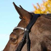 Produktbild von Euroriding Trense La Rochelle mit schwedischem Reithalfter aus Leder für Warmblut in Schwarz oder Braun
