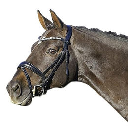 Euroriding Trense La Rochelle mit schwedischem Reithalfter aus Leder in Schwarz für Warmblut Extra – Bild 1 von 2