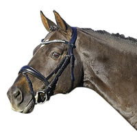 Produktbild von Euroriding Trense La Rochelle mit schwedischem Reithalfter aus Leder in Schwarz für Warmblut Extra
