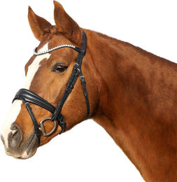 Euroriding Trense Sensitiv schwedisches Reithalfter für Ponys aus Leder und Schaumstoff Schwarz – Bild 1 von 3