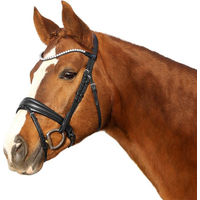 Produktbild von Euroriding Trense Sensitiv schwedisches Reithalfter für Ponys aus Leder und Schaumstoff Schwarz