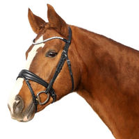 Produktbild von Euroriding Trense Sensitiv schwedisches Reithalfter mit Strass in Schwarz für Warmblut Extra