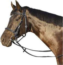 Euroriding Trense und Halfter Kombi Berlou EuroClub aus Leder für Pony in Schwarz – Bild 1 von 1