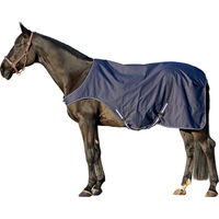 Produktbild von Euroriding Walker Rug Führanlagendecke 100g