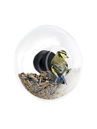 Eva Solo Fensterfutterkugel Vogelfutterhaus aus Glas und Edelstahl Ø 14,5 cm – Bild 1 von 2