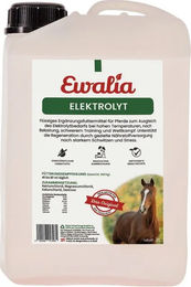 Ewalia Elektrolyt Ergänzungsfutter für Pferde flüssig 3 l – Bild 1 von 2