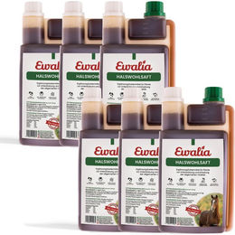 Produktbild von Ewalia Halswohlsaft für Pferde 6erpack zur Unterstützung der Atemwege