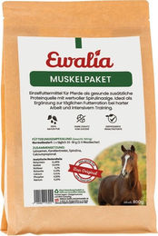 Ewalia Muskelpaket Nahrungsergänzung 3 kg – Bild 1 von 3