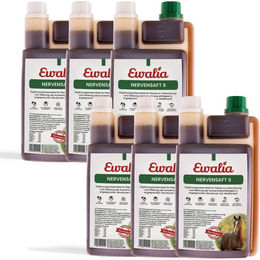 Produktbild von Ewalia Nervensaft II Beruhigung für Pferde 1000 ml