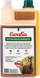 Ewalia Schwarzkümmelöl für Pferde 1 l – Bild 1 von 5