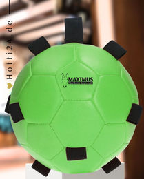 Produktbild von Excellent Fun Play Ball Pferdespielzeug aus Kunstleder in Grün