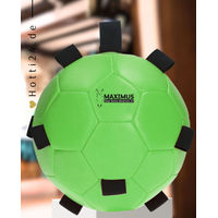 Produktbild von Excellent Fun Play Ball Pferdespielzeug aus Kunstleder in Grün