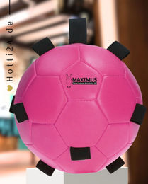 Produktbild von Excellent Fun Play Ball Pferdespielzeug Rosa