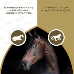Excellent Horse Ergänzungsfutter für Pferde Senior 1 kg Pulver zur Unterstützung von Immunsystem, Verdauung und Gelenken – Bild 1 von 3