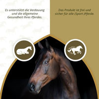 Produktbild von Excellent Horse Ergänzungsfutter für Pferde Senior 1 kg Pulver zur Unterstützung von Immunsystem, Verdauung und Gelenken