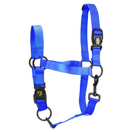 Excellent Horse Essential Halfter aus Nylon in Blau Größe XL – Bild 1 von 2
