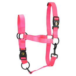 Produktbild von Excellent Horse Essential Halfter für Fohlen aus Nylon in Rosa Größe S