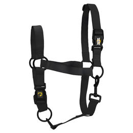 Excellent Horse Essential Halfter für Pferde aus Nylon Schwarz Größe M – Bild 1 von 2