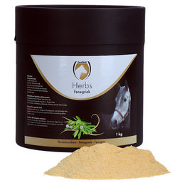 Excellent Horse Herbs Bockshornklee Nahrungsergänzung für Pferde 1 kg - 1 kg – Bild 1 von 3