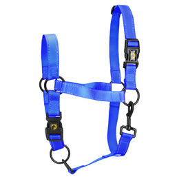 Excellent Horse Premium Halfter für Pferde aus Nylon Blau Größe L – Bild 1 von 2