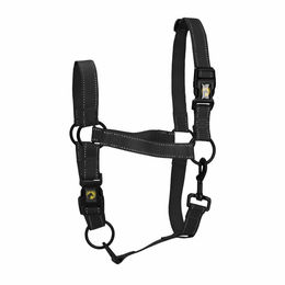 Produktbild von Excellent Horse Premium Halfter für Ponys aus Nylon in Schwarz Größe M