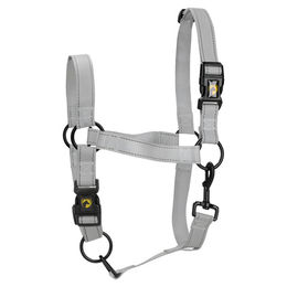 Produktbild von Excellent Horse Premium Pferdehalfter aus Nylon in Grau Größe L