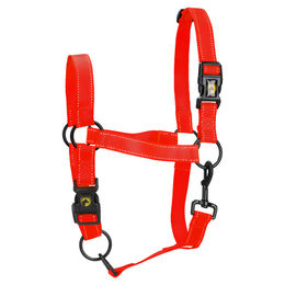 Produktbild von Excellent Horse Premium Pferdehalfter aus Nylon in Rot Größe L