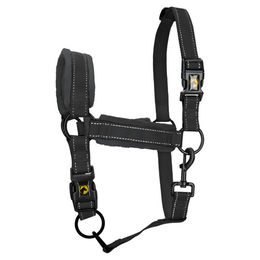 Excellent Horse Superior Halfter für Fohlen aus Nylon Schwarz Größe XS – Bild 1 von 3