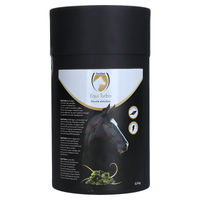 Produktbild von Excellent Horse Turbo Ergänzungsfutter für Pferde zur Unterstützung des Muskelaufbaus 2,5 kg