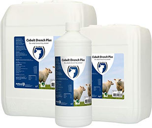 Produktbild von Excellent Kobalt Drench Plus Flüssiges Ergänzungsfutter für Fohlen und Aufzucht zur Unterstützung des Immunsystems
