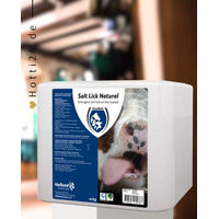 Produktbild von Excellent Leckstein Naturell Mineralstein 10kg