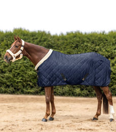 Exclusive BED Transportdecke 50 g – Bild 1 von 1