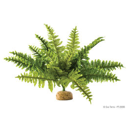 Exo Terra Boston Farn künstliche Terrarienpflanze für Reptilien und Frösche Größe M – Bild 1 von 2
