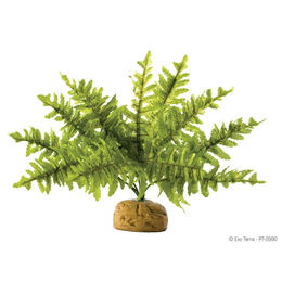 Exo Terra Boston Farn Terrarien-Pflanze für Reptilien und Frösche Größe S – Bild 1 von 4