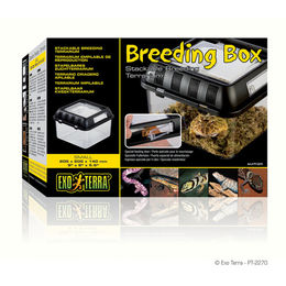 Exo Terra Breeding Box Brutbox für Reptilien aus transparentem Kunststoff 21,2 x 21,2 x 15,5 cm – Bild 1 von 1