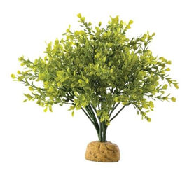 Exo Terra Buchsbaum künstliche Terrarien-Pflanze für Echsen und Frösche - 4 g – Bild 1 von 2