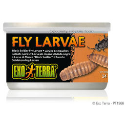 Produktbild von Exo Terra Canned Black Soldier Fly Larvae Nassfutter für Reptilien 34 g