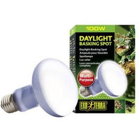 Produktbild von Exo Terra Daylight Basking Spot Neodym Tageslichtlampe für Echsen 100 W R25 - 1 Stk.