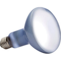 Produktbild von Exo Terra Daylight Basking Spot Neodym Tageslichtlampe für Reptilien 150W R30 - 150 Stk.