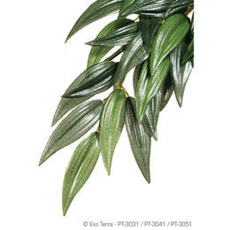 Exo Terra Deko-Pflanze Ruscus Liane Grün Größe M - 1 Stk. – Bild 1 von 4