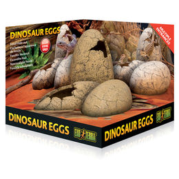 Exo Terra Dinosaur Eggs Fossiles Versteck für Reptilien aus Kunstharz in Grau und Braun – Bild 1 von 6