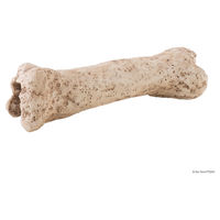 Produktbild von Exo Terra Dinosaurier Knochen Versteck aus Kunstharz in Beige