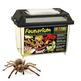 Exo Terra Faunarium Allzweckbehälter für Insekten und Mäuse S Transparent – Bild 1 von 13