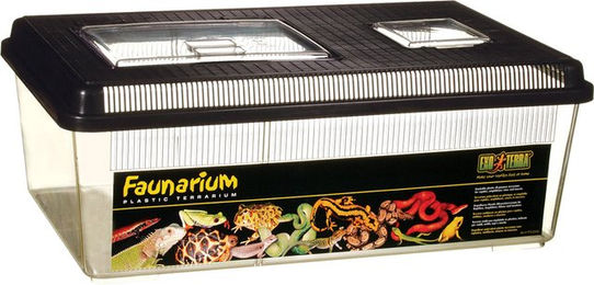 Produktbild von Exo Terra Faunarium flach aus Kunststoff transparent Größe L 460x300x170 mm