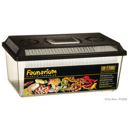 Produktbild von Exo Terra Faunarium flach Medium Reptilienterrarium aus transparentem Kunststoff 37 x 22 x 20,5 cm