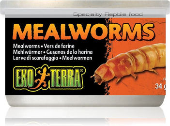 Exo Terra Gekochte Mehlwürmer Einzelfuttermittel für Reptilien 34g - 34 g – Bild 1 von 4