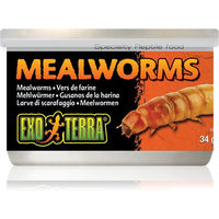 Produktbild von Exo Terra Gekochte Mehlwürmer Einzelfuttermittel für Reptilien 34g - 34 g