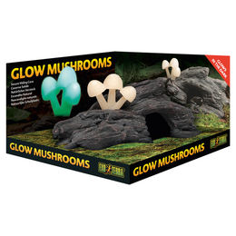 Exo Terra Glow Mushrooms Natürliches Versteck aus Kunstharz für Reptilien, Frösche und Wirbellose - 1 Stk. – Bild 1 von 1