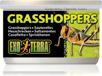Exo Terra Grashüpfer Einzelfuttermittel für Reptilien 34g - 34 g – Bild 1 von 4