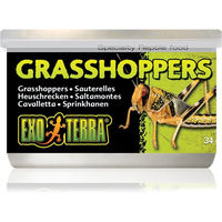 Produktbild von Exo Terra Grashüpfer Einzelfuttermittel für Reptilien 34g - 34 g
